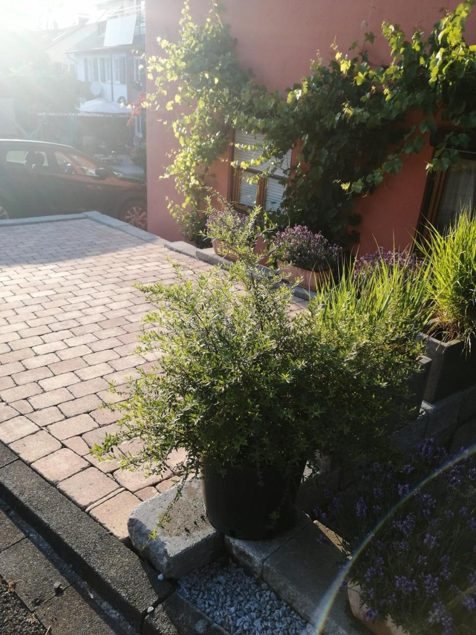 Haus Meersburg Rebe Exterior photo