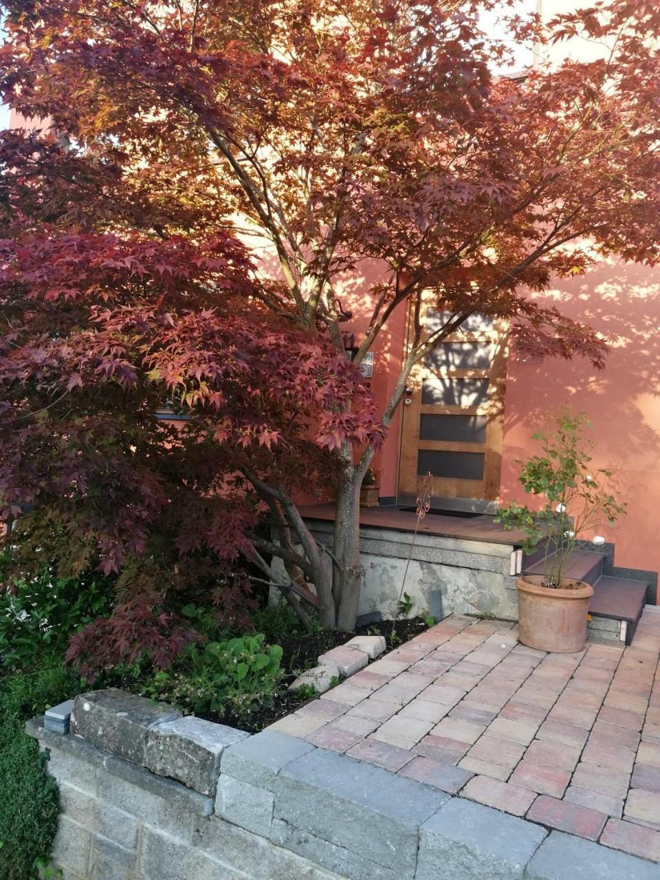 Haus Meersburg Rebe Exterior photo